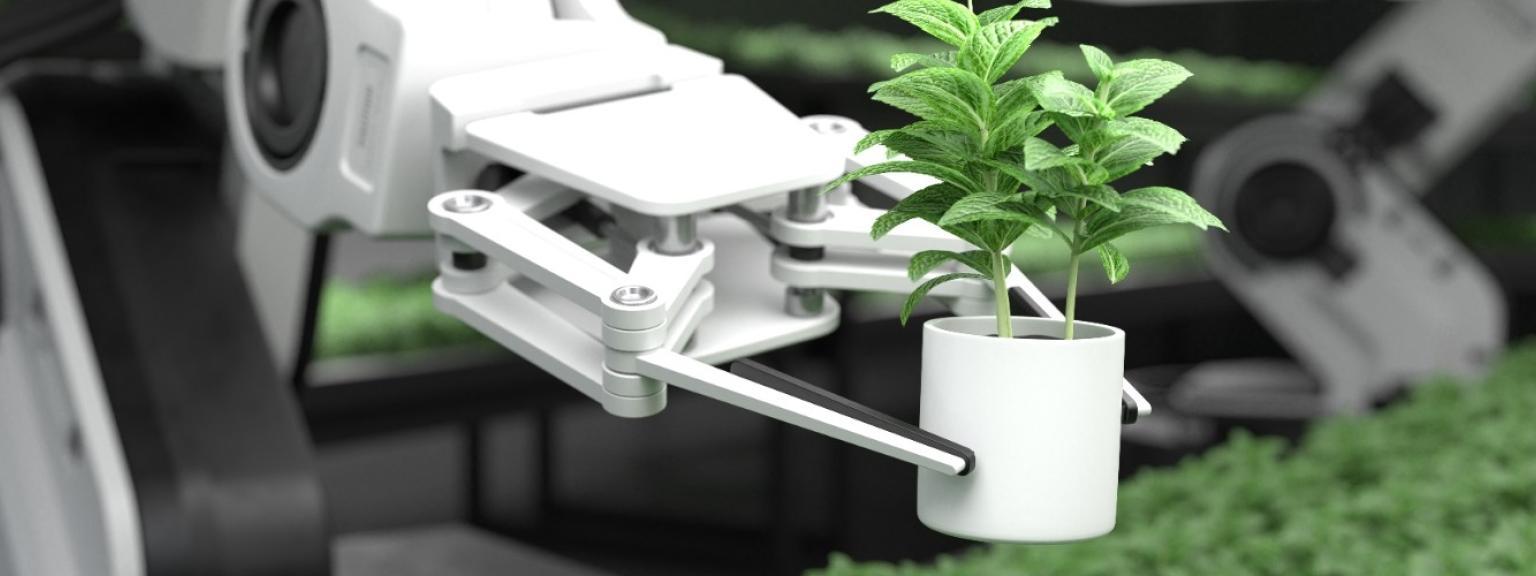 A robotic arm lifts a plant