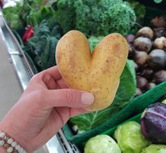 Hand holding oddly-shaped potato