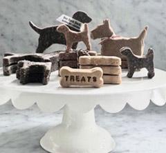 Dog biscuits on a display tray