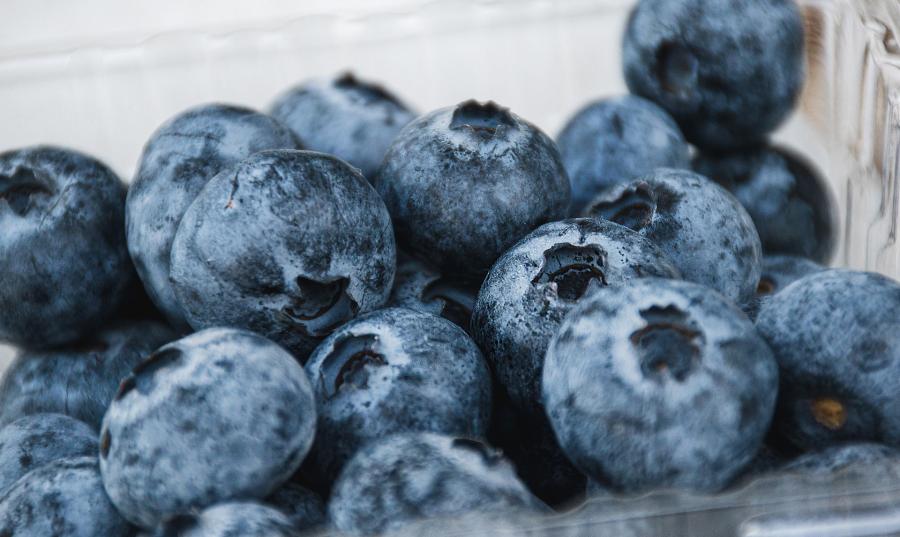 A container of blueberries