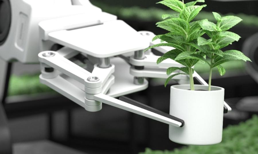 A robotic arm lifts a plant